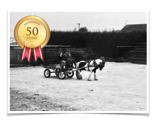 50 years' experience 